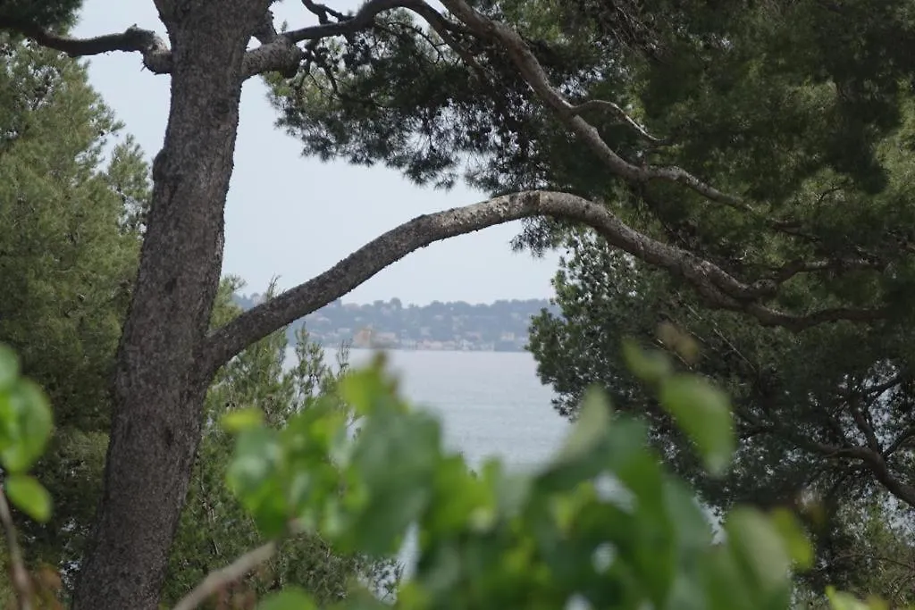 Residence Alouettes Hyères